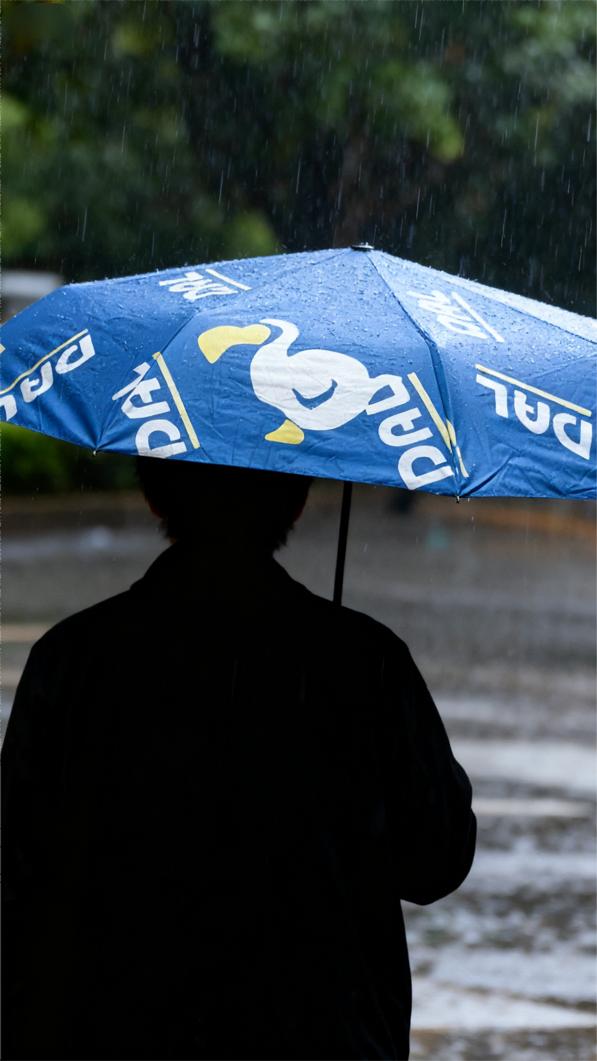 Animal Crossing Inspired DAL Umbrella - Auto Open, 35.4 Inches, Waterproof & UV Protection